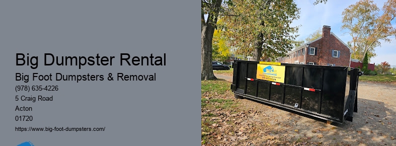 affordable dumpster rental reviews