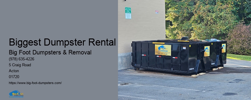 what can you put in a dumpster rental