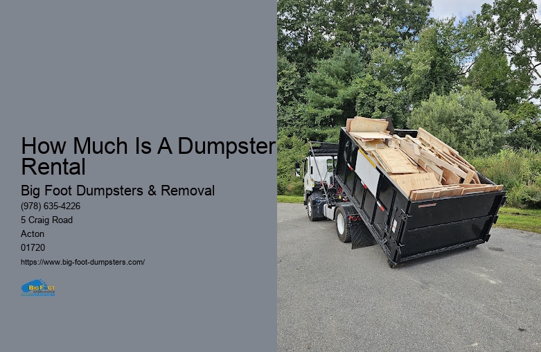 big dumpster rental