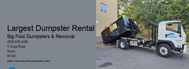 what can you put in a dumpster rental