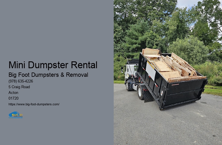 junk removal dumpster rental