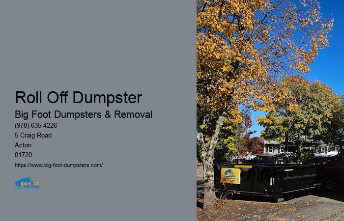 bin dumpster rental