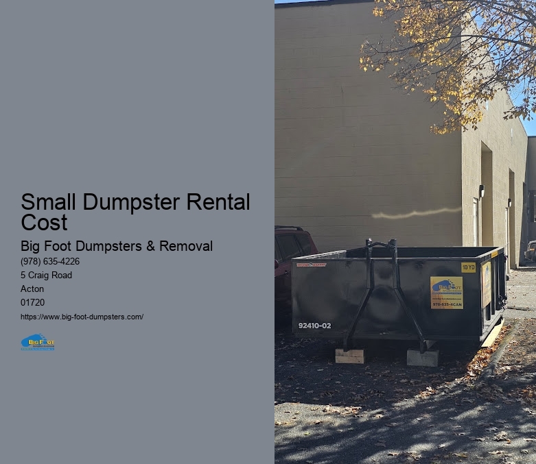 big dumpster rental cost